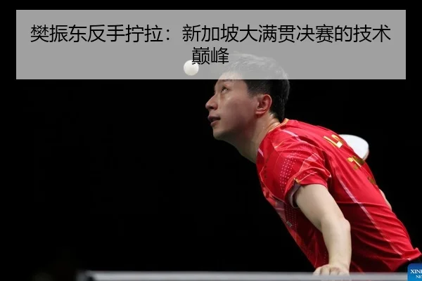 fan-zhen-dong-fan-shou-ning-la-xin-jia-po-da-man-guan-jue-sai-de-ji-shu-dian-feng-1-148.jpg